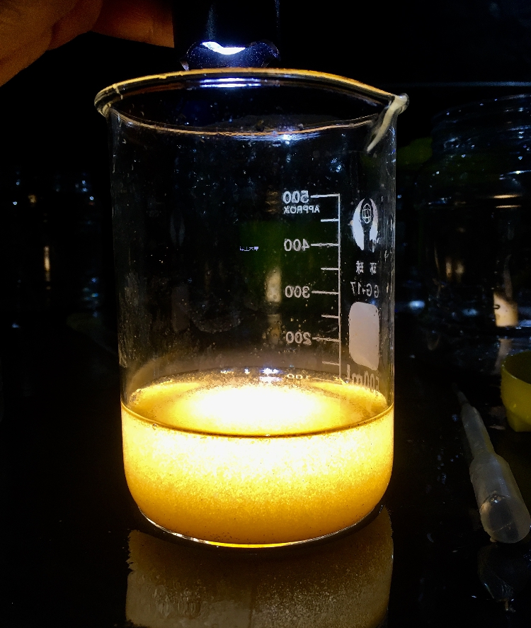 High-quality jellyfish bait rich annual shrimp egg-rich annual shrimp no-section larvae large red egg aquarium bait 250g