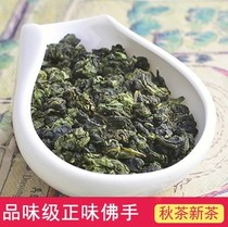 Buy two Get one free Yongchun Bergamot Tea Nourishing stomach Warm stomach Tea Premium fragrant Oolong Tea New Tea Chinese Zen Tea 250g