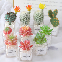 Simulation succulent plant cactus ins fake dried flower green plant indoor desktop bookshelf small potted decoration decoration pieces