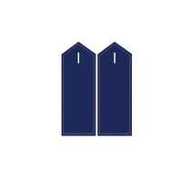 Reserve collar Zhangzhang Dingding to make forest fire protection arm Zhangqin Service Chapter Fire rescue as a magic sticker for training and rescue