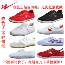 Double star martial arts shoes Volleyball shoes Tai Chi mens practice Childrens canvas gymnastics training Running sports running shoes