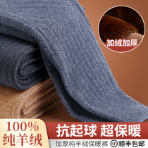 Ordos products pure cashmere pants men thickened with velvety warm pants in old age high waist cotton pants wool pants female winter