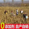 Товары от 贪玩斌