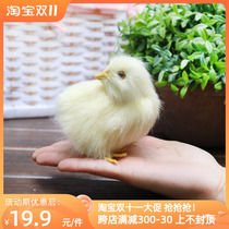Simulated chick animal doll will call the little yellow chicken cute plush animal doll creative decoration