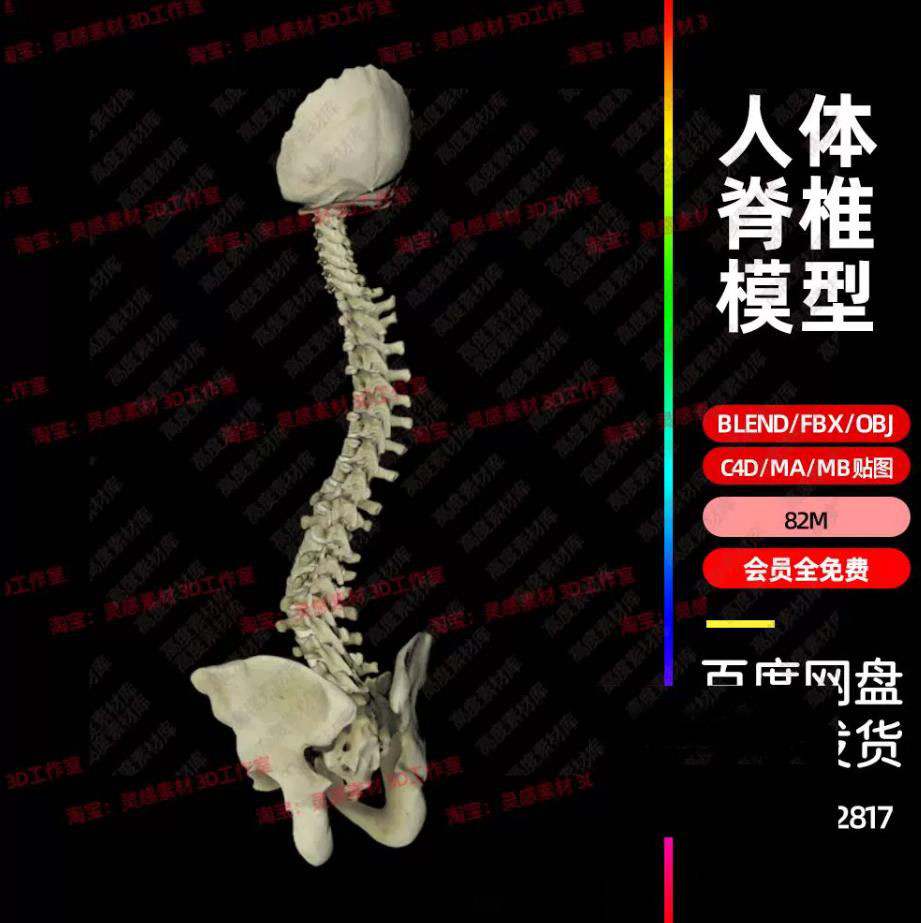 骨头3d模型-骨头3d模型促销价格、骨头3d模型品牌- 淘宝
