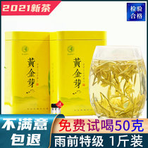 Anji white tea 2021 new tea golden Bud tea authentic rain pre-rain Super Gold tea green tea gift box canned 500g