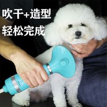 Pet hair dryer brushed one small dog cat special Teddy than bear dog blowing artifact drying comb