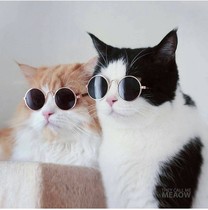Pet cat dog photo sunglasses mini retro funny personality dress cool shake sound with glasses small dog