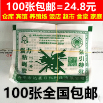 Dachau medium strong sticky fly glue fly stickers to kill flies efficient breeding home 100