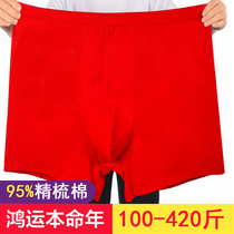 High waist deep-grade fatty plus code life underwear belongs to the tiger annual combination of pure cotton combed cotton four corners loose