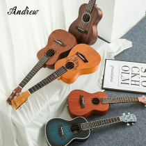 Andrew ukulele beginner adult female male 23 inch ukulele Introduction 26 childrens small guitar board