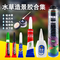 Moss water grass glue national elephant skeleton sunken wood stone coral special Moss aquarium fish tank grass tank underwater landscape