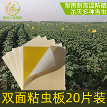 Armyworm board Yellow board Armyworm paper Insect catching board Insect catching board Insect trapping board Double-sided imported glue Physical insect control