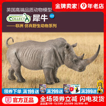 British CollectA me you he rhinoceros simulation animal model cognitive toy ornaments 88852