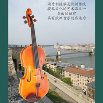 Hungarian production Stradivari 1672 Viola copy piano Italian Bachmann