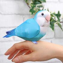 Childrens handmade origami DIY Assembly three-dimensional paper model animal bird turquoise blue peony parrot making