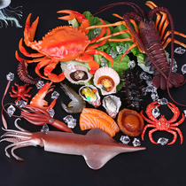 Simulated seafood model fresh fruits and vegetables scallops oysters sea cucumber abalone squid crab lobster props toys