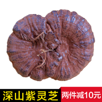 (Deep Mountain Purple Lingzhi) Shaoguan Teryield Semi-wild Lucid Lucid and Authentic Natural Rinzhi Slice 500g