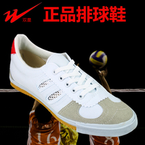 Qingdao double star volleyball shoes mens and womens classic nostalgic sneakers breathable wear-resistant beef tendon bottom work shoes labor insurance shoes