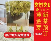 2021 Milk White Tea Gold Bud Mingqian White Tea Gold Milk White Tea 50g Garden Tea