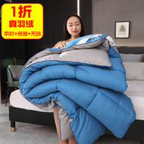  Duvet 95 white goose down quilt thickened 10 kg warm winter quilt core double spring and autumn quilt air conditioning quilt single dormitory quilt