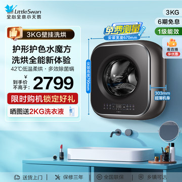 小天鹅壁挂