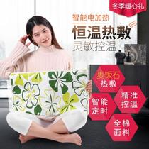 Chenyou multifunctional maifan stone hot mat health stone electric mat winter warm Palace super low price hot sale