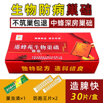 Chinese bee nest foundation biological disease prevention deep room bee nest foundation eight thousand beeswax beehive box full set of beekeeping tools