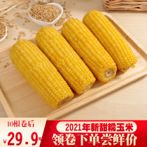  2021 New sweet glutinous 10 yellow glutinous corn Northeast specialty vacuum sticky bract rice sticks fresh fragrant sticky whole grains non-white non-black