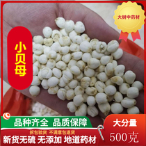 Chuan Fritillaria 500g wild super-grade Sichuan Fritillaria cough-relieving Chinese herbal medicine pointed Fritillaria non-Tongrentang