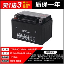 Motorcycle battery spring breeze water-cooled sheep A Dr silver blade 250 sunshine hero curve lover battery