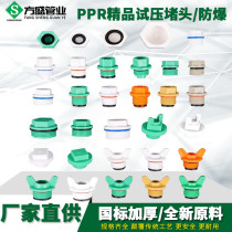 PPR pressure test plug outer wire plug thickened with leather ring pipe cap plug 20 4 minutes 6 minutes 1 inch water pipe fittings