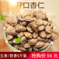 Almond nuts in bulk 5 kg packed whole box Milk fragrant apricot kernel open original flavor small white almonds hand peeled small ginkgo biloba