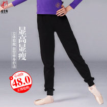 Smoke dance pants men's and women's practice close mouth turnip pants cotton adult children loose modern dance aerobics