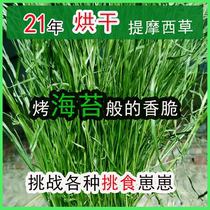 21-year-old new mention grass drying Timothy grass hay Rabbit Chinchilla Dutch pig forage Timu West grass Rabbit grass 500g