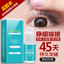 Grafting eyelash glue not spicy eyes hypoallergenic pregnant women can open their eyes and special lasting lasting lasting