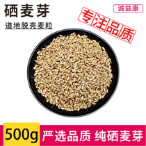 Selenium malt 500g natural malt selenium Chinese Herbal medicine bulk sold separately dried selenium malt Schisandra powder tea