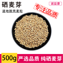 Selenium malt 500g natural malt selenium Chinese Herbal medicine bulk sold separately dried selenium malt Schisandra powder tea