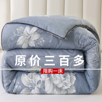 Silk quilt 100 mulberry silk winter quilt thickened All cotton 10 catty 8 Winter cotton quilted by winter Spring and autumn quilt core