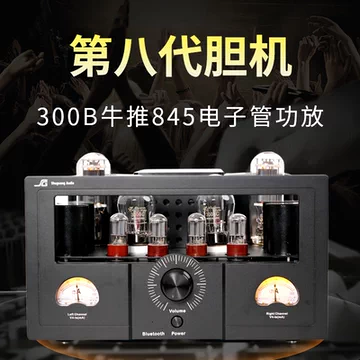 新品2本 曙光電子 Shuguang 300B 300B-98 真空管 茶印字赤 曙光300B胆功放-曙光300B胆功放促销价格、曙光300B胆功放品牌- 淘宝