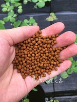 Sifan Chinese turtle Pearl Brazilian tortoise dried shrimp tortoise feed fish feed high protein high calcium open grain