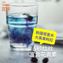 Yizhixin nourishing Yin Yi freeze-dried black wolfberry Xinjiang specialty authentic 39g