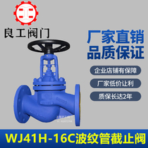 Shanghai Lianggong Valve WJ41H-16C High Temperature Steam Heat Transfer Oil Cast Steel Flange Globe Valve DN100