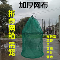 Fishing Net box folding round cage lobster crab temporary cage cage cage fish protection thickened variety of fish and shrimp cages