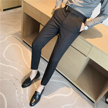 Rich Bird Striped British Western Pants Mens Small Foot ankle-length pants Slim Business Leisure Non-iron Mens Pants Tide