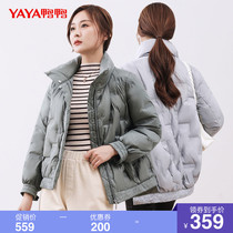 Duck duck 2021 autumn and winter new down jacket womens short small stand-up collar bread suit casual fashion jacket