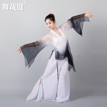 Classical dance clothing female body rhyme elegant practice clothing clothing modern dance straight tube net gauze pants skirt stage costume performance clothing