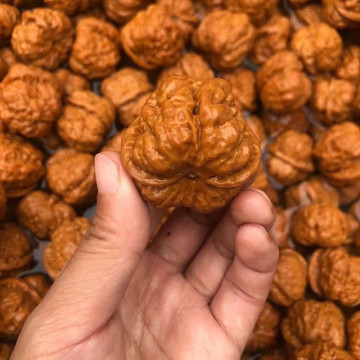 文玩核桃蛤蟆头-文玩核桃蛤蟆头促销价格、文玩核桃蛤蟆头品牌- 淘宝