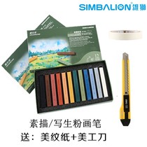 Taiwan Lion brand chalk sketch with pastel stick pink brush 12-color sketching Toner set