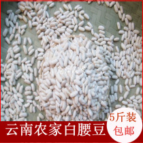 Yunnan specialty farmers small white beans white kidney beans white kidney beans soup soup grain 5kg